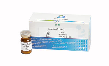 Bộ xét nghiệm sinh sản nam chuyên nghiệp để xác định tinh dịch LDH-X