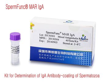 Bộ dụng cụ chẩn đoán nam 40T / Kit để xác định lớp phủ kháng thể IgA của tinh trùng