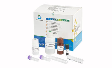SpermFunc Kits / Solid Phase BAPNA Phương pháp Đối với Spermatozoa Acrosin Hoạt động Định lượng Test