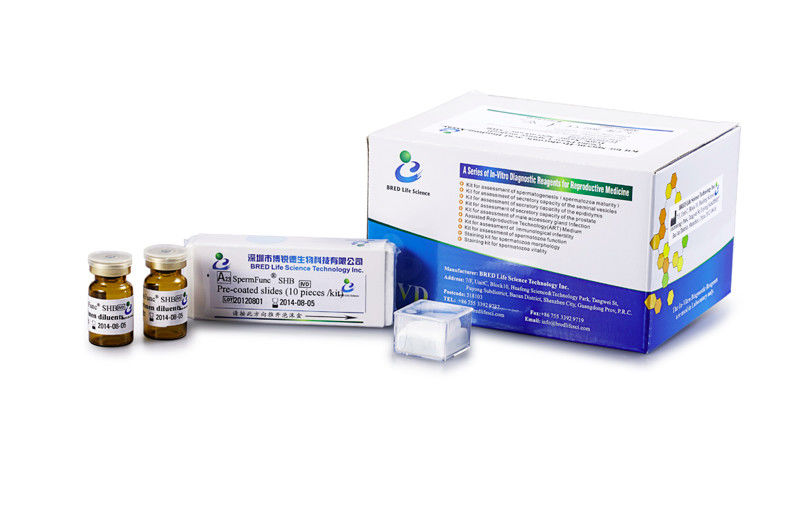 20T/Bộ Xét nghiệm Khả năng Liên kết Axit Hyaluronic Tinh trùng với Phương pháp Bắt giữ Pha Rắn để Phân tích Chức năng Tinh trùng Đã được CE Phê duyệt